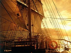 Voyage to Freedom
